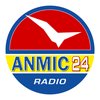 undefined ANMIC 24