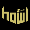 undefined idobi Howl station