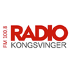 undefined Radio Kongsvinger