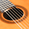 undefined guitargalaxy