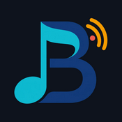 Radio Best Net Radio - The Mix