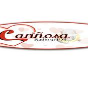 Radio cariñosa 91 fm