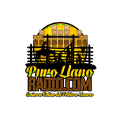 Radio Puro Llano Radio