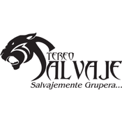 Radio Stereo Salvaje 