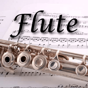 Escucha CALM RADIO - Flute en la aplicación