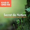 undefined SECRETS DE NATURE