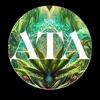 undefined All Things Ayahuasca