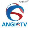 undefined ANGIO TV