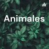 undefined Animales