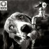 undefined Animales
