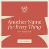 undefined Another Name For Every Thing with Richard Rohr