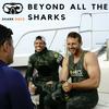 undefined Beyond All the Sharks