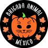 undefined Brigada Animal México