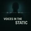 undefined Voices in the Static