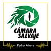 undefined Cámara Salvaje