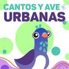 undefined Cantos y Aves Urbanas