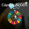 undefined Cápsula de ODS