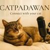 undefined CatPadawan, donde conectamos con los gatos