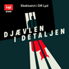 undefined Djævlen i detaljen