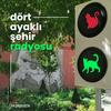 undefined Dört Ayaklı Şehir Radyosu
