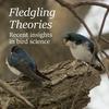 undefined Fledgling Theories
