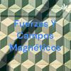 undefined Fuerzas Y Campos Magnéticos