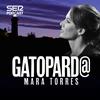 undefined Gatopard@