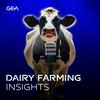 undefined GEA Dairy Farming Insights