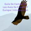 undefined Guía De Campo De Las Aves De España Y Europa | Introduccion