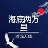 undefined 海底两万里道泽天成演播