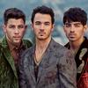 undefined Jonas Brothers Grown Man Boy Band
