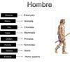 undefined La Evolución Del Hombre Y su Clasificación Taxonomíca