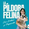 undefined La Píldora Felina – Entiende y cuida mejor a tu gato