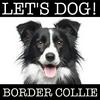 undefined Let's Dog - Bordercollie Podcast