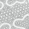 undefined LSD.