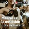 undefined Mascotas: la nutrición más avanzada