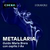 undefined Metallaria