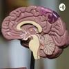 undefined Neuropsicología y Educación