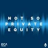 undefined Not So Private Equity