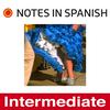 undefined Notes in Spanish Intermediate