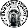 undefined NWA Cane Corsos Podcast- An All Breed Podcast