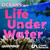undefined Oceans: Life Under Water