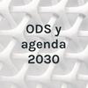 undefined ODS y agenda 2030