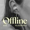 undefined Offline, With Alison Rice