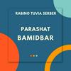 undefined Parashat Bamidbar