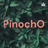 undefined PinochO