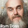 undefined Ram Dass Here And Now