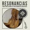 undefined Resonancias. Foro profesional de instrumentos musicais
