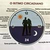 undefined Ritmos Circadianos