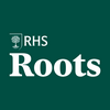 undefined RHS Roots